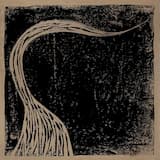 To Wild Flowers Forgotten