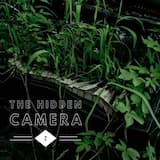 Ghost Notes From an Astral Stream