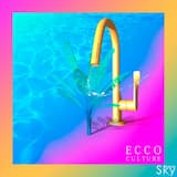 ECCO CULTURE [INTRO]