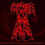 Pierced by a Meathook