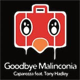 Goodbye Malinconia