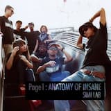 Intro Anatomy Of Insane