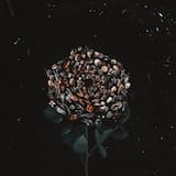 V Forme Roz (Jiony remix)