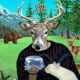 holding on to 2 hawks and flying over billions of trees