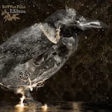 The Montagues and the Capulets