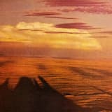 A Universe of Nights (A Vision of Leto II)