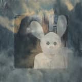 In The Morning Sun We Stand