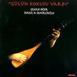 Pencereden Kar Geliyor