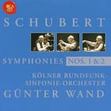 Symphony No. 1 in D Major, D. 82: I. Adagio-Allegro Vivace