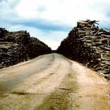 Cedar Mill / Braid / Treader