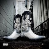 Alligator Boots