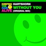 Without You (original mix)