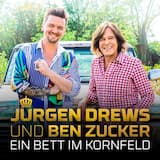 Ein Bett im Kornfeld