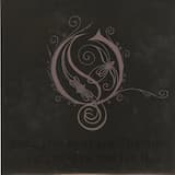 Still Day Beneath the Sun