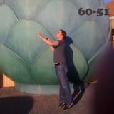 Like the Weather (10,000 Maniacs)