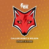 Start a Fire (extended mix)