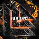 Beast (extended mix)