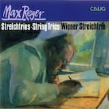 Trio für Violine, Viola und Violoncello a-moll, op. 77b: Sostenuto – Allegro agitato