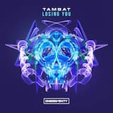 Losing You (extended mix)