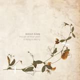 I See My Own (feat. Werner Kitzmüller)