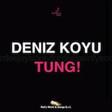 Tung! (original mix)