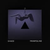 Trampoline (stripped)