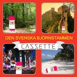 Bjornstammen (original mix)