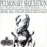 Pulmonary Sequestion Of Uterinalist Arteries A (VIII)