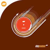 Feuervogel (Guido Schneider remix)