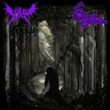 Selviytyjät nukkuvat