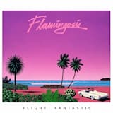 Flight Fantastic