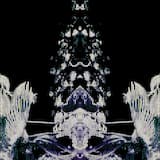 𝙃𝙖𝙙𝙞𝙦𝙖