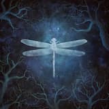 Opaque (20th Anniversary Edition)