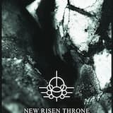 Lungs Into Declining Structures