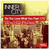 Do You Love What You Feel 2018 (Inner City & House of Virus extended remix)