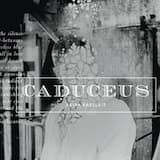 Seduced by the Silence