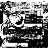 Transcendental Experiences