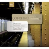 Piano Trio in A minor, op. 50: Pezzo Elegiaco