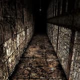 Ｔｏｌｕｃａ Ｐｒｉｓｏｎ