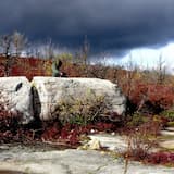 King Coming by Carriage