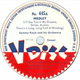 Medley: I’ll See You in My Dreams / Smiles / Avalon / There’s a Long, Long Trail a’Winding