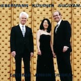 Fantasiestücke, op. 27: Nr. 1, Allegro con brio