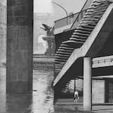 Good Morning, You Worm