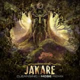 Cleansing (Mose Remix)