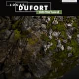 Into the Forest I’ve Seen Under