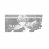 残念! 〇〇ちゃんでした!, Zannen! (X)Chan Desita!