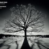 Gadalaiki: Baltā ainava