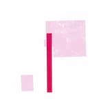 In the forest on the hill of old castle.