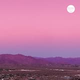 The Monk (Vinyl Mix)