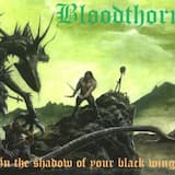 ...with a Bloodstained Axe